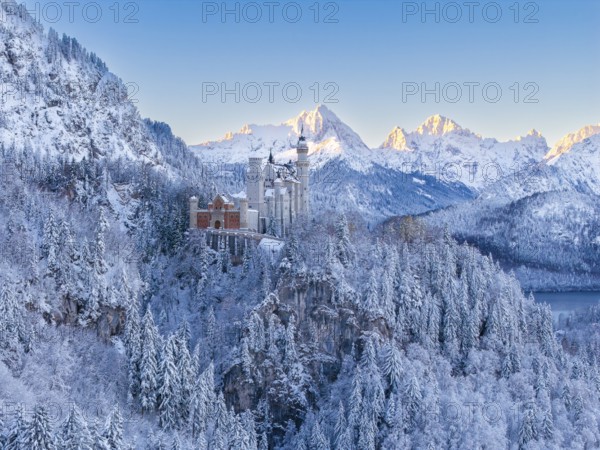 Majestic Neuschwanstein Castle surrounded by snow-covered Alps and thick forests, a winter dream, Schwangau near Füssen, Ostallgäu, Allgäu, Bavaria, Germany