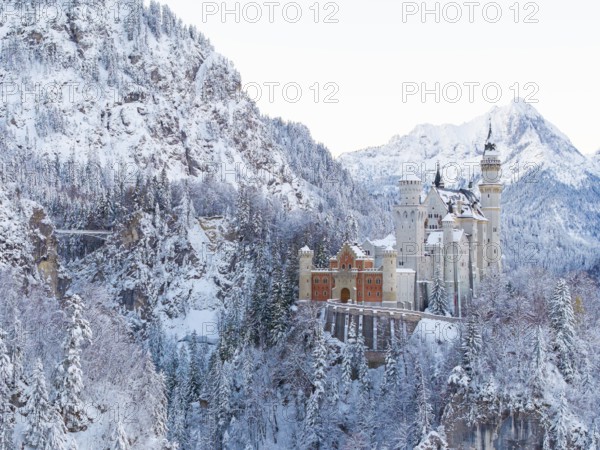Neuschwanstein Castle nestled in a snowy mountain landscape with thick fir trees, peaceful atmosphere, Schwangau near Füssen, Ostallgäu, Allgäu, Bavaria, Germany