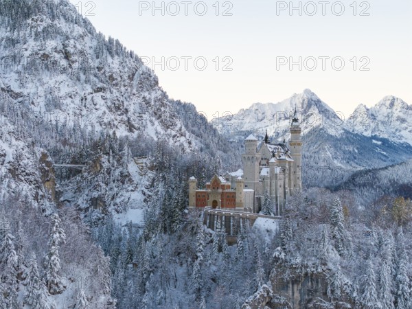 Neuschwanstein Castle in a frosty winter landscape surrounded by snow-covered trees, Schwangau near Füssen, Ostallgäu, Allgäu, Bavaria, Germany