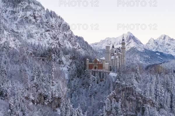 Neuschwanstein Castle in a snowy mountain landscape surrounded by trees, magical and quiet, Schwangau near Füssen, Ostallgäu, Allgäu, Bavaria, Germany