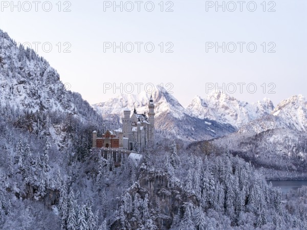 Neuschwanstein Castle in a snowy mountain landscape with a gentle evening mood, Schwangau near Füssen, Ostallgäu, Allgäu, Bavaria, Germany