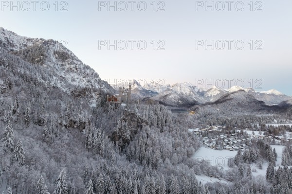 Neuschwanstein Castle in a wintry mountain landscape with snow-covered trees and mountains in the background, Schwangau near Füssen, Ostallgäu, Allgäu, Bavaria, Germany