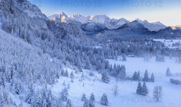 Winter mountain landscape with snow-covered trees and light fog in the valley, Neuschwanstein Castle, Schwangau near Füssen, Ostallgäu, Allgäu, Bavaria, Germany