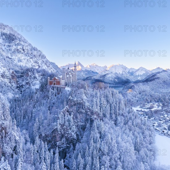 Neuschwanstein Castle rises above a snowy mountain landscape, wrapped in the cold of winter morning, Schwangau near Füssen, Ostallgäu, Allgäu, Bavaria, Germany