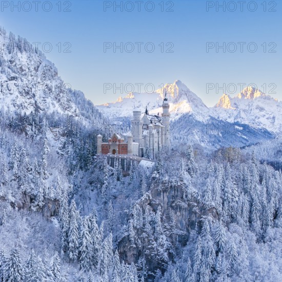 The enchanting Neuschwanstein Castle in a symmetrical, snowy mountain landscape, Schwangau near Füssen, Ostallgäu, Allgäu, Bavaria, Germany