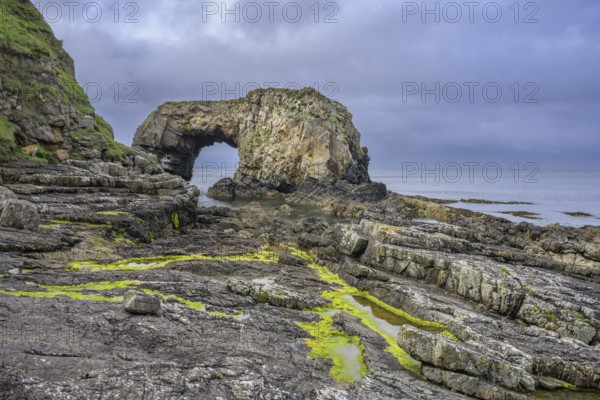Green algae in tide pools at Pollaird Sea Arch, Fanad, County Donegal, Ireland