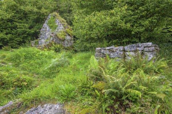 St Colman's Chapel, Burren, Keelhilla, Carran, Co. Clare, Ireland