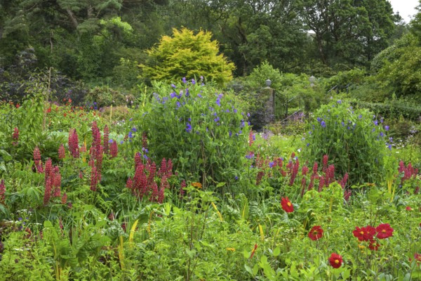 Castle Gardens, Glenveagh National Park, Cross Roads, Co. Donegal, Ireland