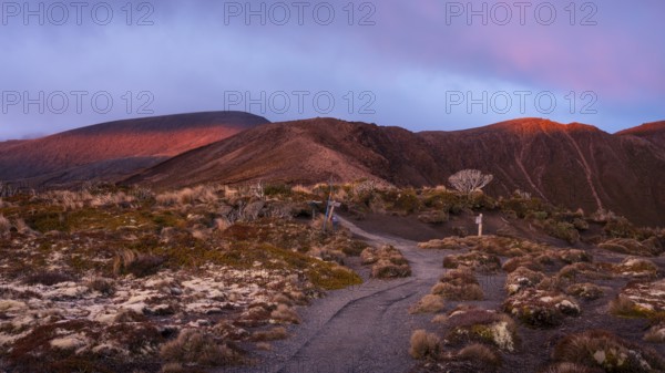 Volcanic landscape, Tama Lake Walk (Tama Lakes Track), evening light, sunset. Tongariro National Park, North Island, New Zealand