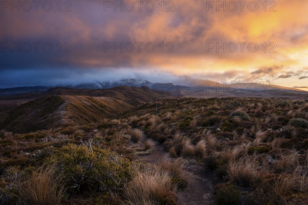 Volcanic landscape, Tama Lake Walk (Tama Lakes Track), Mt Ruapehu in clouds, evening light, sunset. Tongariro National Park, North Island, New Zealand