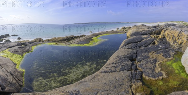 Tide pools with green algae on Gurteen Beach, Roundstone, County Galway, Ireland