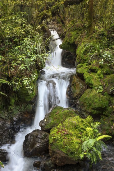 Ketetahi Falls waterfall in the forest, with rocks and ferns. Tongariro National Park, North Island, New Zealand