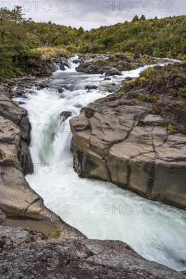 Whakapananui Stream and Mahuia Rapids, river and waterfall. Tongariro National Park, North Island, New Zealand