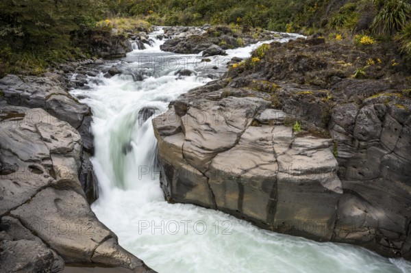 Whakapananui Stream and Mahuia Rapids, river and waterfall. Tongariro National Park, North Island, New Zealand