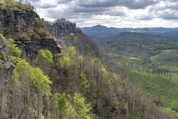Rock formation and forest in the Bohemian Switzerland National Park near Hrensko, Czech Republic