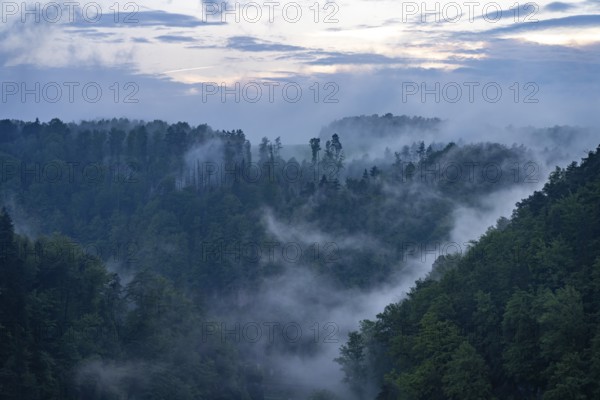 Fog in the forest of Bohemian Switzerland National Park near Hrensko, Czech Republic