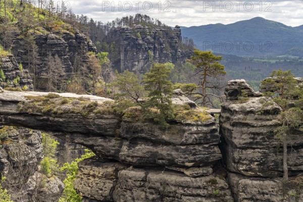 The Prebischtor rock arch in the Bohemian Switzerland National Park near Hrensko, Czech Republic