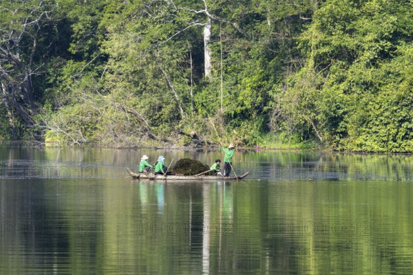 Women harvest seagrass, water channel in Angkor Thom, UNESCO World Heritage Site, Siem Reap, Cambodia