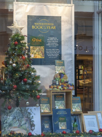 Waterstones Book of the Year, The Artist by Lucy Steed, books in window display of Waterstones bookshop, Ipswich, Suffolk, England, UK