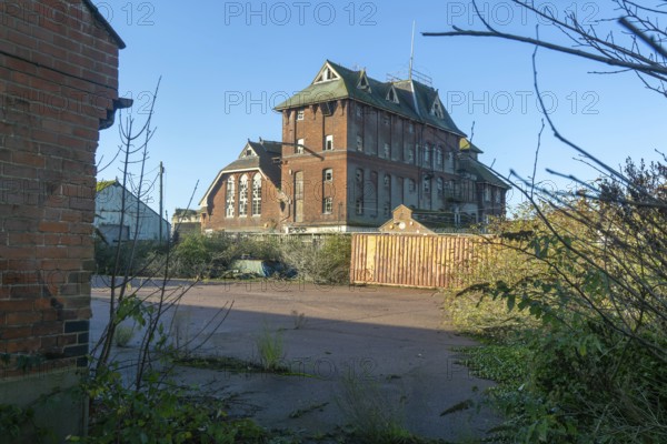 Derelict former Tolly Cobbold brewery building, Cliff Quay, Ipswich, Suffolk, England, UK