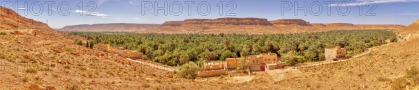 A wide panorama with an oasis, many palm trees and buildings against a mountain backdrop, Ziz Canyon in Morocco