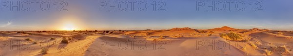 A wide panorama of sand dunes during a bright sunrise, Sahara in Morocco