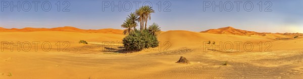 A wide panorama of a small oasis with palm trees in the endless expanse of the desert, Sahara, Merzouga in Morocco