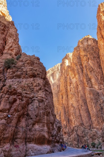 Narrow gorge with high, red-illuminated rocks under a clear sky, Todra Gorge in Morocco
