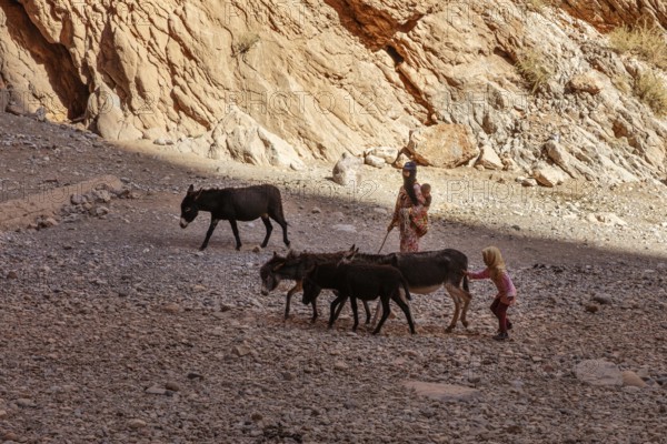 Family with donkeys on rocky ground in rocky gorge in shade, Todra Gorge in Morocco