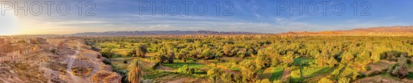 Green oasis landscape at dusk with wide sky and sunset, Tinghir in Morocco