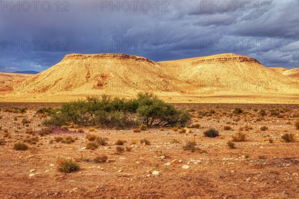 Impressive desert landscape with hills and barren vegetation under cloudy sky, Tinghir in Morocco