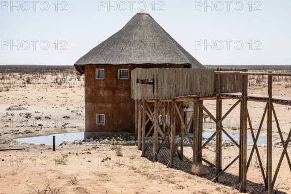 Olifantsrus Camp, waterhole, Etosha National Park, Namibia