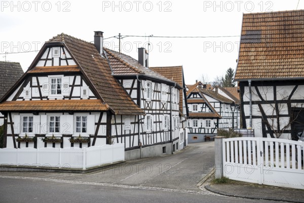 Village made entirely of half-timbered houses, Hunspach, Alsace, Bas-Rhin department, France