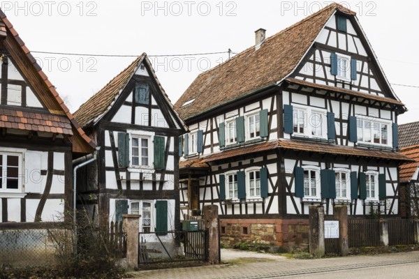 Village made entirely of half-timbered houses, Seebach, Alsace, Bas-Rhin department, France