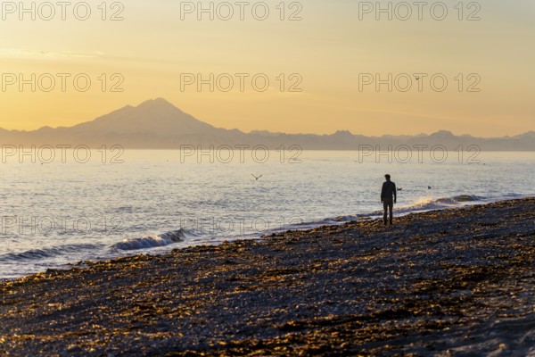 Young man walking along the beach at sunset, view across Cook Inlet to white mountain peaks of Mount Redoubt, Aleutian Range Mountains, Anchor Point, Anchor River State Recreation Area, Alaska, USA