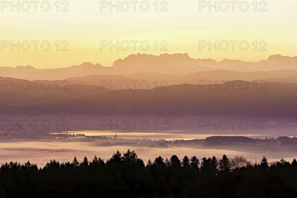 View from Horben of Lake Zug with the city of Cham and Zug covered in fog, behind it the snow-capped mountains Flübrig and Vrenelisgärtli in the light of the rising sun, Beinwil-Freiamt, Canton, Aargau, Switzerland