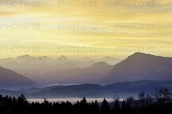 View from Horben of the midlands lying in fog, behind it the Alps with the Rigi, Beinwil-Freiamt, Canton, Aargau, Switzerland