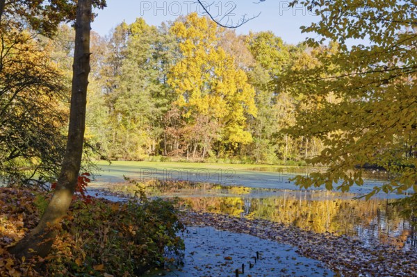 Autumn colors on Sandbrack, a lake in the Kirchwerder district of Hamburg. Fünfhausen, Kirchwerder, Hamburg, Germany