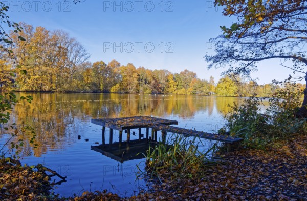 Autumn colors and a fishing platform on Sandbrack, a lake in the Kirchwerder district of Hamburg. Fünfhausen, Kirchwerder, Hamburg, Germany
