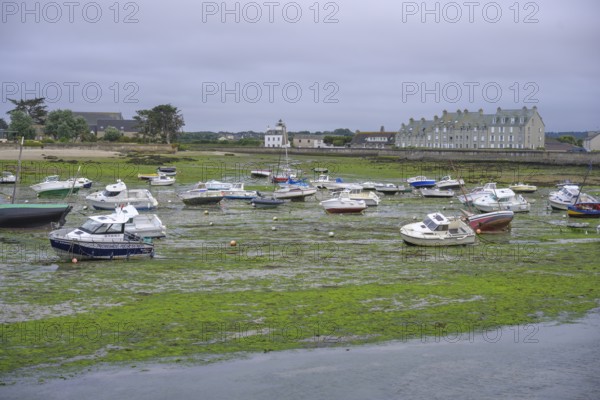 Boats are moored in harbor at low tide, Barfleur, Manche department, France