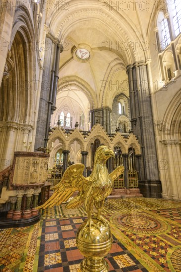 Christchurch Cathedral golden eagle figure, Dublin, County Dublin, Ireland