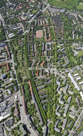 Hamburg, Horn, Washington Allee, Weddestraße, city planning, aerial view, city views, district, district, urban, district, bird's eye view, bird's eye view, Germany, allotment garden, avenue, residential building, sports ground