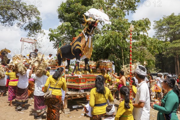 The mortal remains of a deceased person are placed in an animal sarcophagus (wadha) during the ngaben ceremony and then cremated. Wadah, the vehicle, the sacred magnificent animal, is the vehicle used to transport the soul of the deceased to the spirit realm, Ngaben ceremony, Gianyar, Ubud, Bali, Indonesia