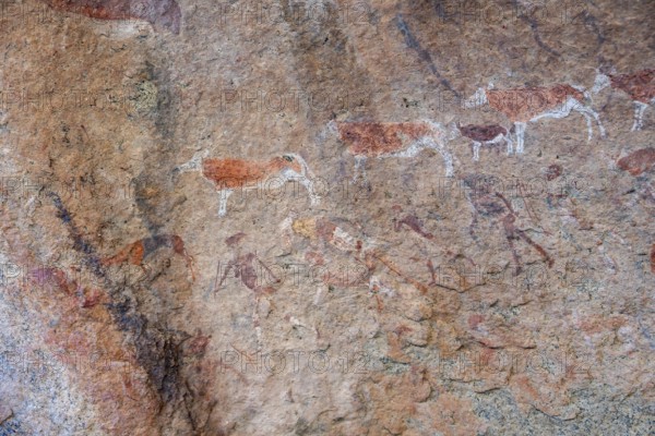 White Lady Rock Painting, White Lady Painting, Depiction of Hunters and Animals, Rock Paintings in Maack's Shelter, Tsisab Gorge, Brandberg, Erongo, Namibia