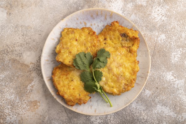 Fried crispy Chicken pancakes on brown concrete background. top view, flat lay, close up