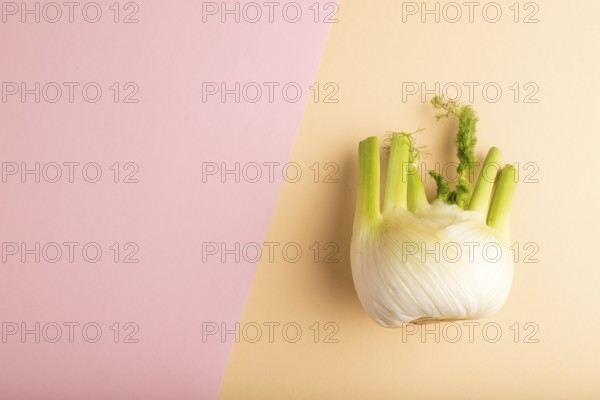 Fresh Fennel bulb on pink and orange pastel paper background, top view, flat lay, copy space, minimalism