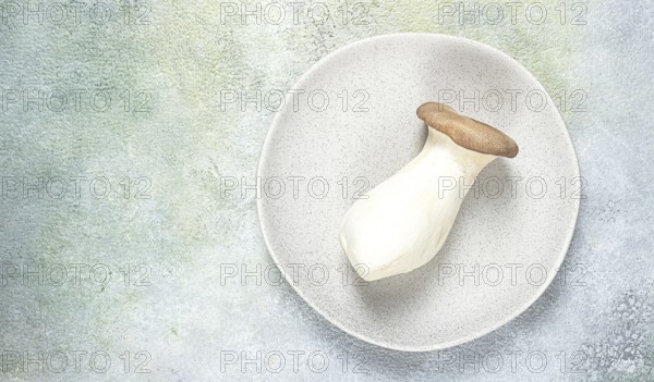 Fresh eringi mushrooms, raw, royal oyster mushrooms, three pieces, Asian cuisine, no people