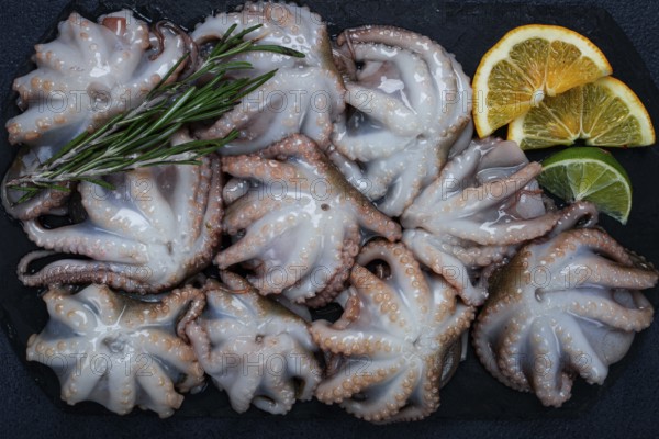 Fresh baby octopus, on black slate, with lemon and greenery, top view, no people