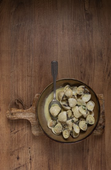 Vongole clams, in cream sauce, homemade, top view, no people