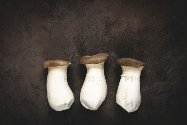 Fresh eringi mushrooms, raw, royal oyster mushrooms, three pieces, Asian cuisine, no people